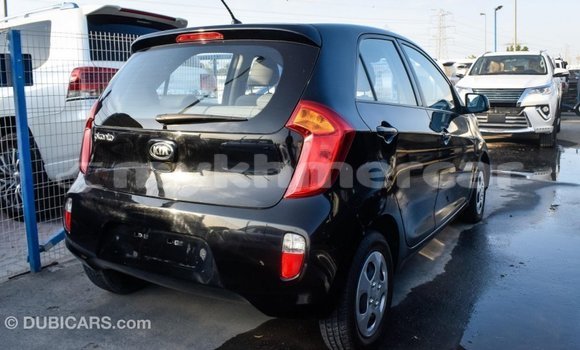 Buy Import Kia Picanto Black Car in Import - Dubai in Kampot Province Buy Import Kia Picanto Black Car in Import - Dubai in Kampot Province