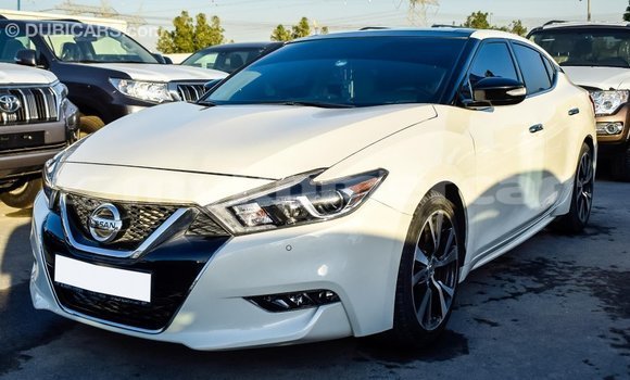 Buy Import Nissan Maxima White Car in Import - Dubai in Kampot Province Buy Import Nissan Maxima White Car in Import - Dubai in Kampot Province