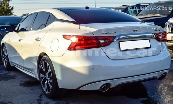 Buy Import Nissan Maxima White Car in Import - Dubai in Kampot Province Buy Import Nissan Maxima White Car in Import - Dubai in Kampot Province
