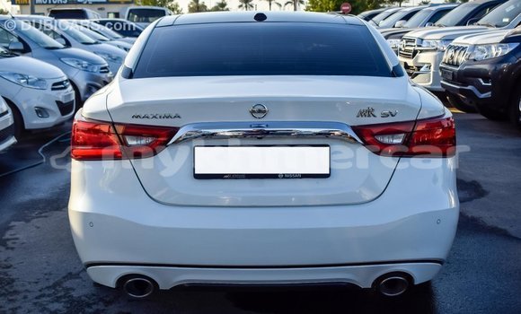 Buy Import Nissan Maxima White Car in Import - Dubai in Kampot Province Buy Import Nissan Maxima White Car in Import - Dubai in Kampot Province