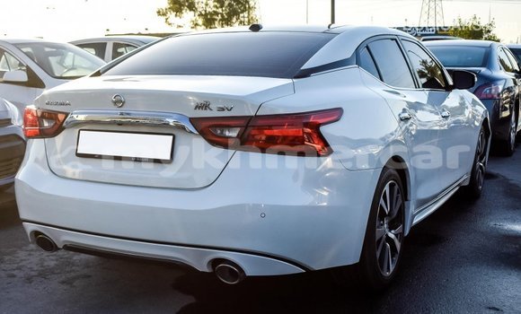 Buy Import Nissan Maxima White Car in Import - Dubai in Kampot Province Buy Import Nissan Maxima White Car in Import - Dubai in Kampot Province