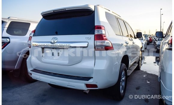 ទិញ នាំចូល Toyota Prado White ឡាន} ក្នុង Import - Dubai ក្នុង Kampot Province ទិញ នាំចូល Toyota Prado White ឡាន} ក្នុង Import - Dubai ក្នុង Kampot Province