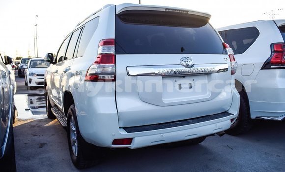 ទិញ នាំចូល Toyota Prado White ឡាន} ក្នុង Import - Dubai ក្នុង Kampot Province ទិញ នាំចូល Toyota Prado White ឡាន} ក្នុង Import - Dubai ក្នុង Kampot Province