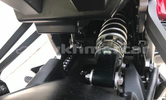 Buy Used Kawasaki Ninja Beige Bike in Phnom Penh in Phnom Penh Buy Used Kawasaki Ninja Beige Bike in Phnom Penh in Phnom Penh