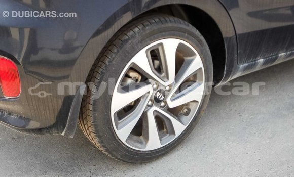 Buy Import Kia Rio Black Car in Import - Dubai in Kampot Province Buy Import Kia Rio Black Car in Import - Dubai in Kampot Province