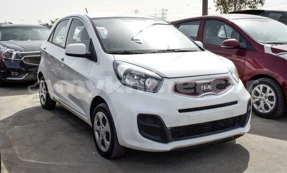 Buy Import Kia Picanto White Car in Import - Dubai in Kampot Province Buy Import Kia Picanto White Car in Import - Dubai in Kampot Province
