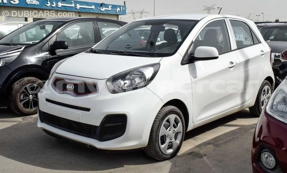 Buy Import Kia Picanto White Car in Import - Dubai in Kampot Province Buy Import Kia Picanto White Car in Import - Dubai in Kampot Province