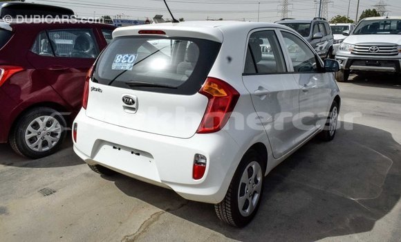 Buy Import Kia Picanto White Car in Import - Dubai in Kampot Province Buy Import Kia Picanto White Car in Import - Dubai in Kampot Province