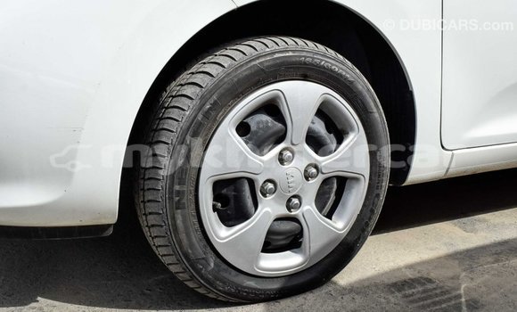 Buy Import Kia Picanto White Car in Import - Dubai in Kampot Province Buy Import Kia Picanto White Car in Import - Dubai in Kampot Province