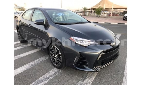 ទិញ នាំចូល Toyota Corolla Other ឡាន} ក្នុង Import - Dubai ក្នុង Kampot Province ទិញ នាំចូល Toyota Corolla Other ឡាន} ក្នុង Import - Dubai ក្នុង Kampot Province