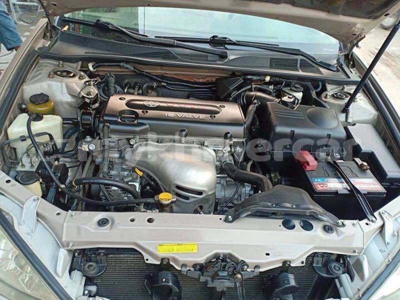 Big with watermark 54433913 2321066334849606 1706882482319654912 n