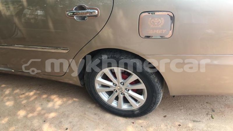 Big with watermark 54433114 2321066264849613 5204559228043264000 n