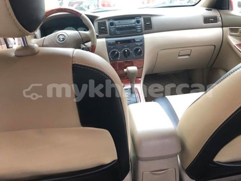 Big with watermark 50091271 2286620671627506 7222712541653237760 n