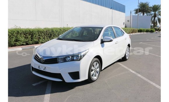 Buy Import Toyota Corolla White Car in Import - Dubai in Kampot Province Buy Import Toyota Corolla White Car in Import - Dubai in Kampot Province