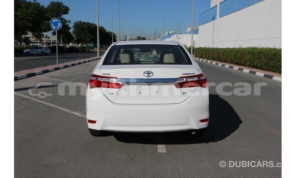 Buy Import Toyota Corolla White Car in Import - Dubai in Kampot Province Buy Import Toyota Corolla White Car in Import - Dubai in Kampot Province