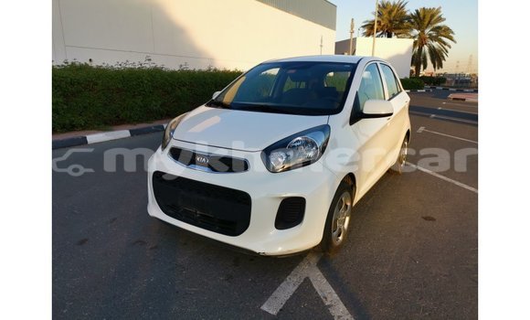 Buy Import Kia Picanto White Car in Import - Dubai in Kampot Province Buy Import Kia Picanto White Car in Import - Dubai in Kampot Province