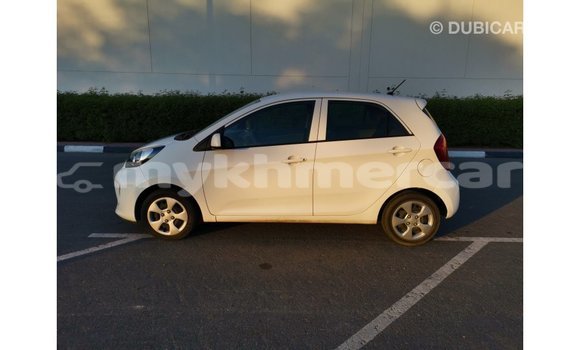 Buy Import Kia Picanto White Car in Import - Dubai in Kampot Province Buy Import Kia Picanto White Car in Import - Dubai in Kampot Province