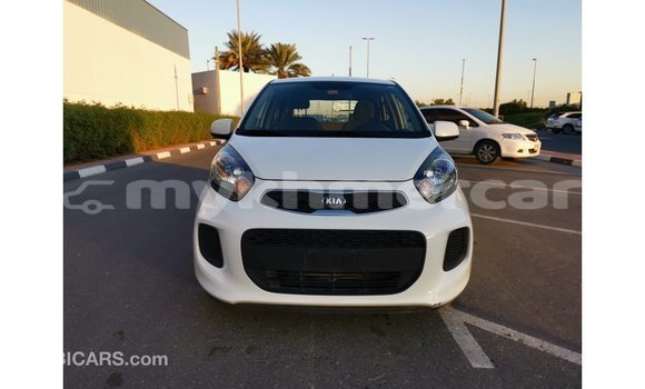 Buy Import Kia Picanto White Car in Import - Dubai in Kampot Province Buy Import Kia Picanto White Car in Import - Dubai in Kampot Province