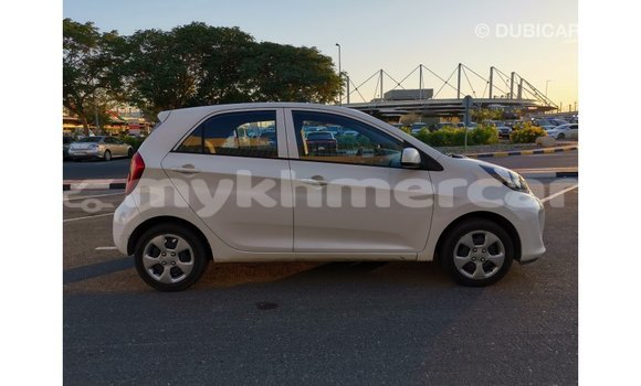 Buy Import Kia Picanto White Car in Import - Dubai in Kampot Province Buy Import Kia Picanto White Car in Import - Dubai in Kampot Province