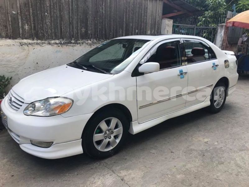 Big with watermark 46067690 2235532503402990 7802644409215877120 n