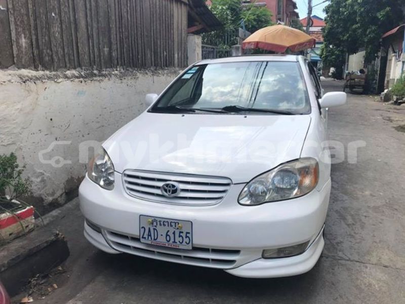 Big with watermark 46258131 2235532490069658 1827222135899160576 n