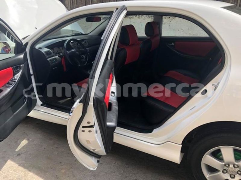 Big with watermark 46241998 2235532410069666 4344376909010829312 n