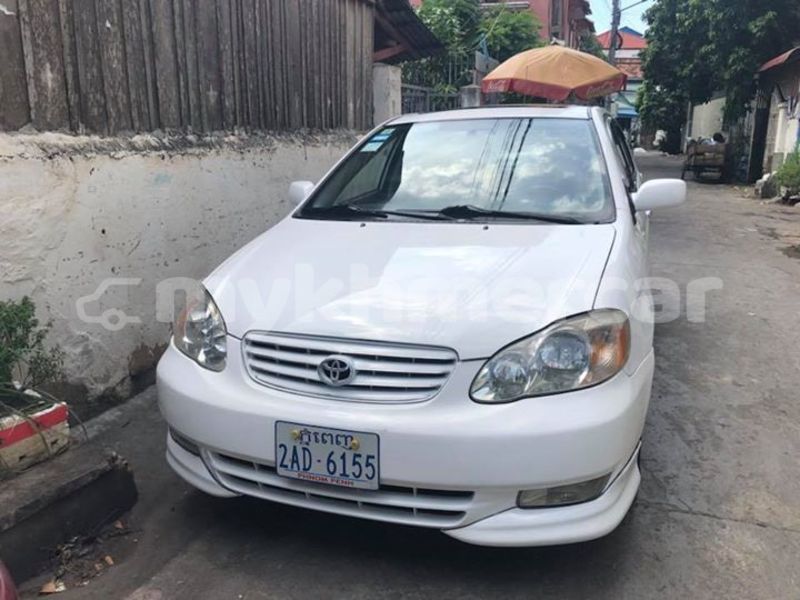 Big with watermark 46087491 2235532233403017 3619390960636526592 n