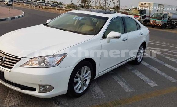 Acheter Import Voiture Lexus ES Blanc à Import - Dubai, Kampot Province Acheter Import Voiture Lexus ES Blanc à Import - Dubai, Kampot Province