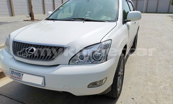 Buy Used Lexus RX 330 White Car in Phnom Penh in Phnom Penh