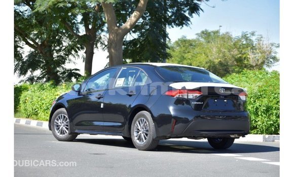 Acheter Import Voiture Toyota Corolla Noir à Import - Dubai, Kampot Province Acheter Import Voiture Toyota Corolla Noir à Import - Dubai, Kampot Province