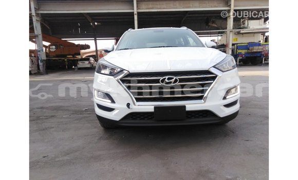 Buy Import Hyundai Tucson White Car in Import - Dubai in Kampot Province Buy Import Hyundai Tucson White Car in Import - Dubai in Kampot Province
