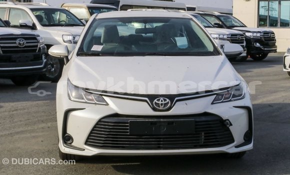 Buy Import Toyota Corolla White Car in Import - Dubai in Kampot Province Buy Import Toyota Corolla White Car in Import - Dubai in Kampot Province