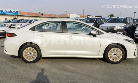 Buy Import Toyota Corolla White Car in Import - Dubai in Kampot Province Buy Import Toyota Corolla White Car in Import - Dubai in Kampot Province