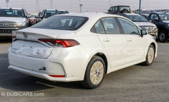 Buy Import Toyota Corolla White Car in Import - Dubai in Kampot Province Buy Import Toyota Corolla White Car in Import - Dubai in Kampot Province