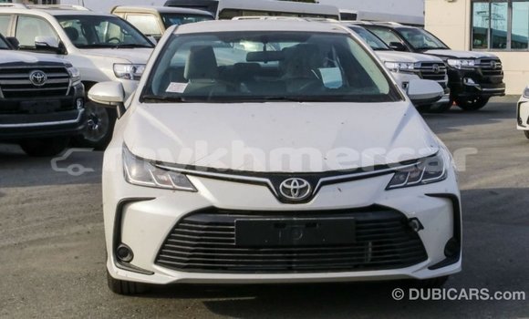 Buy Import Toyota Corolla White Car in Import - Dubai in Kampot Province Buy Import Toyota Corolla White Car in Import - Dubai in Kampot Province