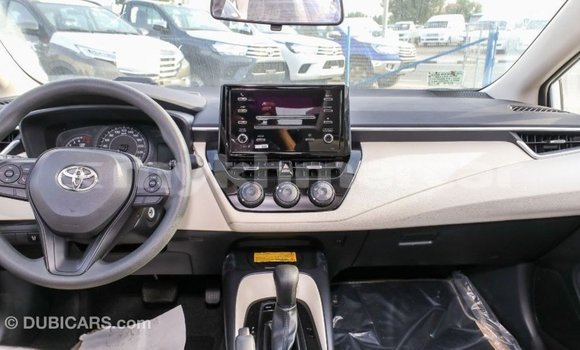 Buy Import Toyota Corolla White Car in Import - Dubai in Kampot Province Buy Import Toyota Corolla White Car in Import - Dubai in Kampot Province