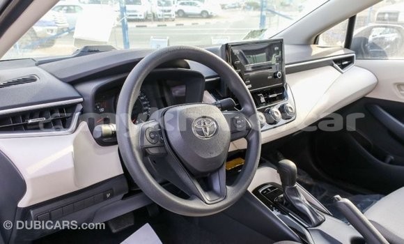 Buy Import Toyota Corolla White Car in Import - Dubai in Kampot Province Buy Import Toyota Corolla White Car in Import - Dubai in Kampot Province