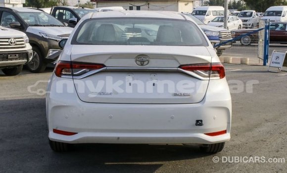 Buy Import Toyota Corolla White Car in Import - Dubai in Kampot Province Buy Import Toyota Corolla White Car in Import - Dubai in Kampot Province