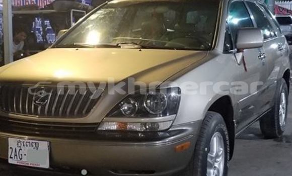 Buy Used Lexus RX 300 Silver Car in Phnom Penh in Phnom Penh