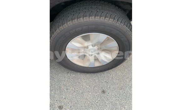 Buy Import Toyota Hilux Black Car in Import - Dubai in Kampot Province Buy Import Toyota Hilux Black Car in Import - Dubai in Kampot Province