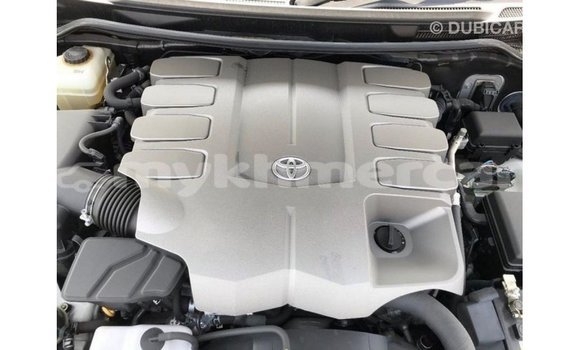 ទិញ នាំចូល Toyota Land Cruiser White ឡាន} ក្នុង Import - Dubai ក្នុង Kampot Province ទិញ នាំចូល Toyota Land Cruiser White ឡាន} ក្នុង Import - Dubai ក្នុង Kampot Province