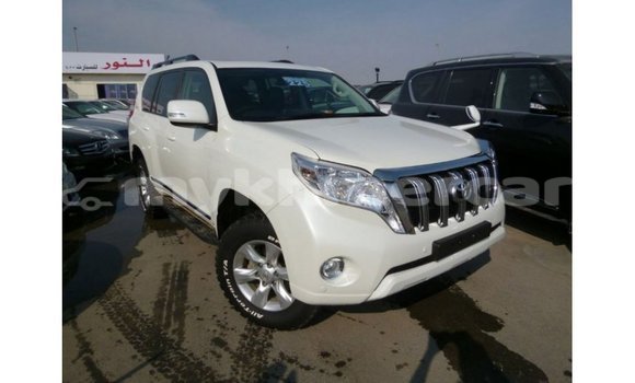 ទិញ នាំចូល Toyota Prado White ឡាន} ក្នុង Import - Dubai ក្នុង Kampot Province ទិញ នាំចូល Toyota Prado White ឡាន} ក្នុង Import - Dubai ក្នុង Kampot Province