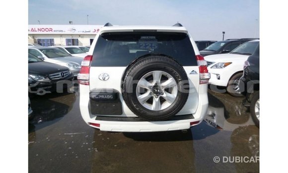 ទិញ នាំចូល Toyota Prado White ឡាន} ក្នុង Import - Dubai ក្នុង Kampot Province ទិញ នាំចូល Toyota Prado White ឡាន} ក្នុង Import - Dubai ក្នុង Kampot Province
