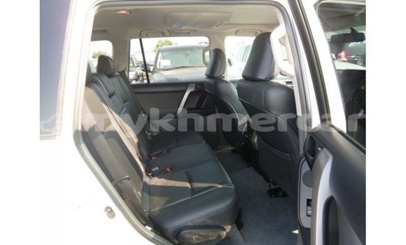 ទិញ នាំចូល Toyota Prado White ឡាន} ក្នុង Import - Dubai ក្នុង Kampot Province ទិញ នាំចូល Toyota Prado White ឡាន} ក្នុង Import - Dubai ក្នុង Kampot Province