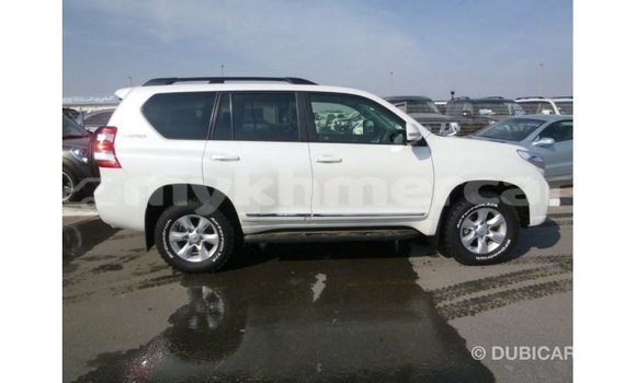 ទិញ នាំចូល Toyota Prado White ឡាន} ក្នុង Import - Dubai ក្នុង Kampot Province ទិញ នាំចូល Toyota Prado White ឡាន} ក្នុង Import - Dubai ក្នុង Kampot Province