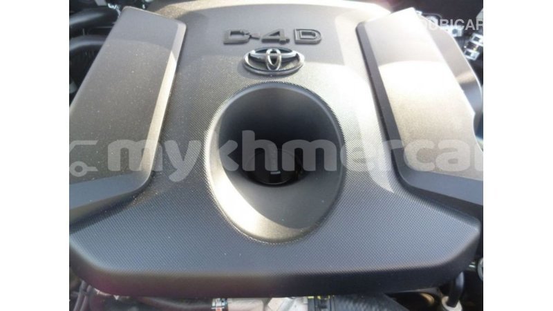 Big with watermark toyota prado kampot province import dubai 3134