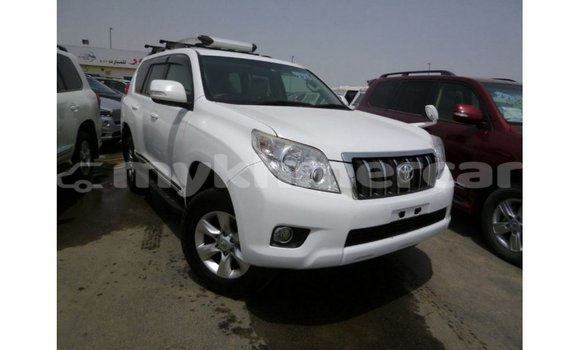 Buy Import Toyota Prado White Car in Import - Dubai in Kampot Province Buy Import Toyota Prado White Car in Import - Dubai in Kampot Province