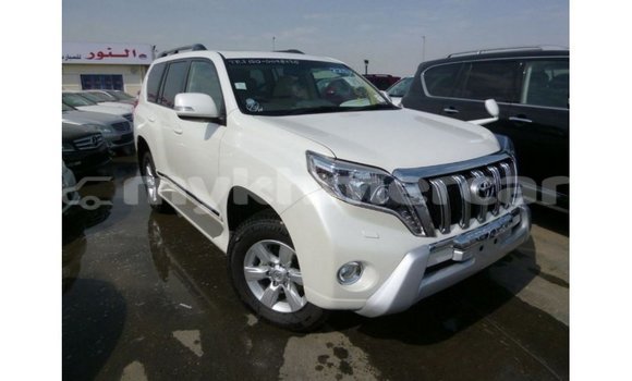 ទិញ នាំចូល Toyota Prado White ឡាន} ក្នុង Import - Dubai ក្នុង Kampot Province ទិញ នាំចូល Toyota Prado White ឡាន} ក្នុង Import - Dubai ក្នុង Kampot Province
