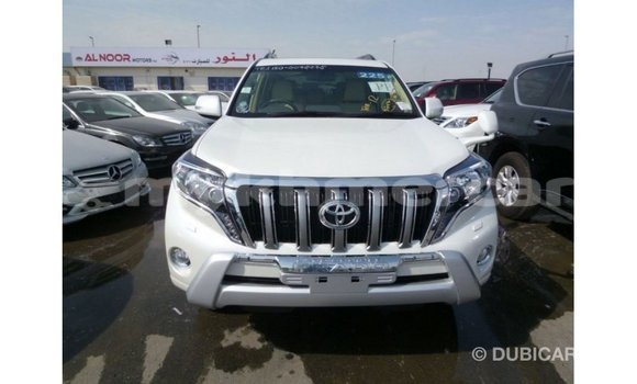 ទិញ នាំចូល Toyota Prado White ឡាន} ក្នុង Import - Dubai ក្នុង Kampot Province ទិញ នាំចូល Toyota Prado White ឡាន} ក្នុង Import - Dubai ក្នុង Kampot Province
