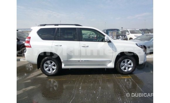 ទិញ នាំចូល Toyota Prado White ឡាន} ក្នុង Import - Dubai ក្នុង Kampot Province ទិញ នាំចូល Toyota Prado White ឡាន} ក្នុង Import - Dubai ក្នុង Kampot Province
